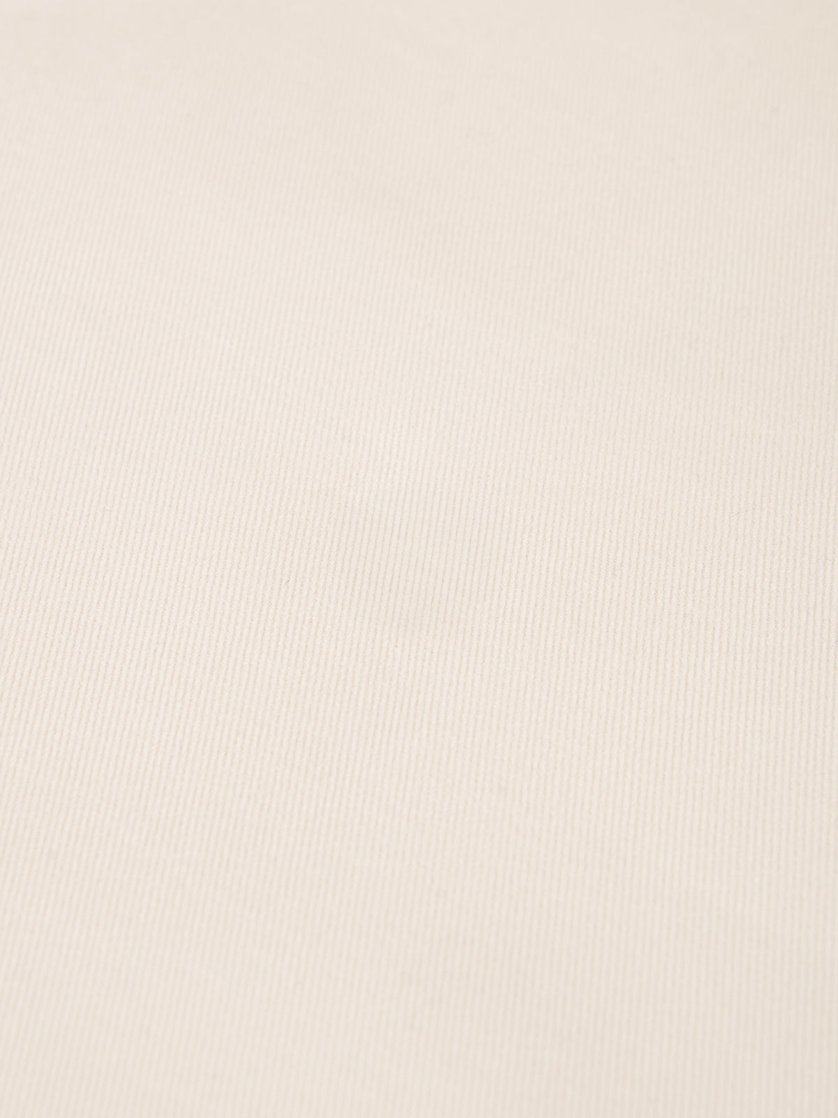 PLEATED CHINO PANT CRU